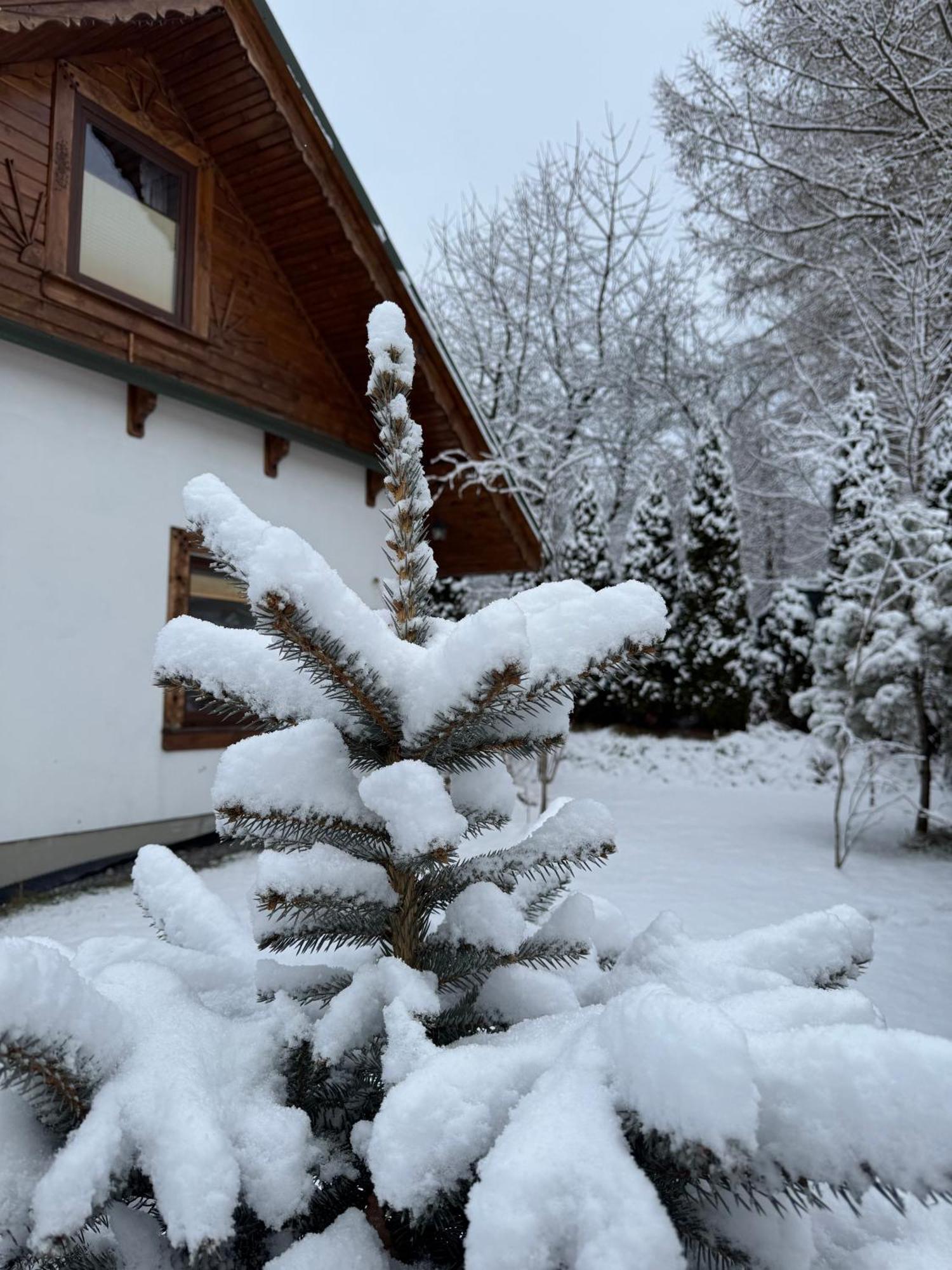 Na Szlaku - Domki Do Wynajecia Rabka Exteriör bild