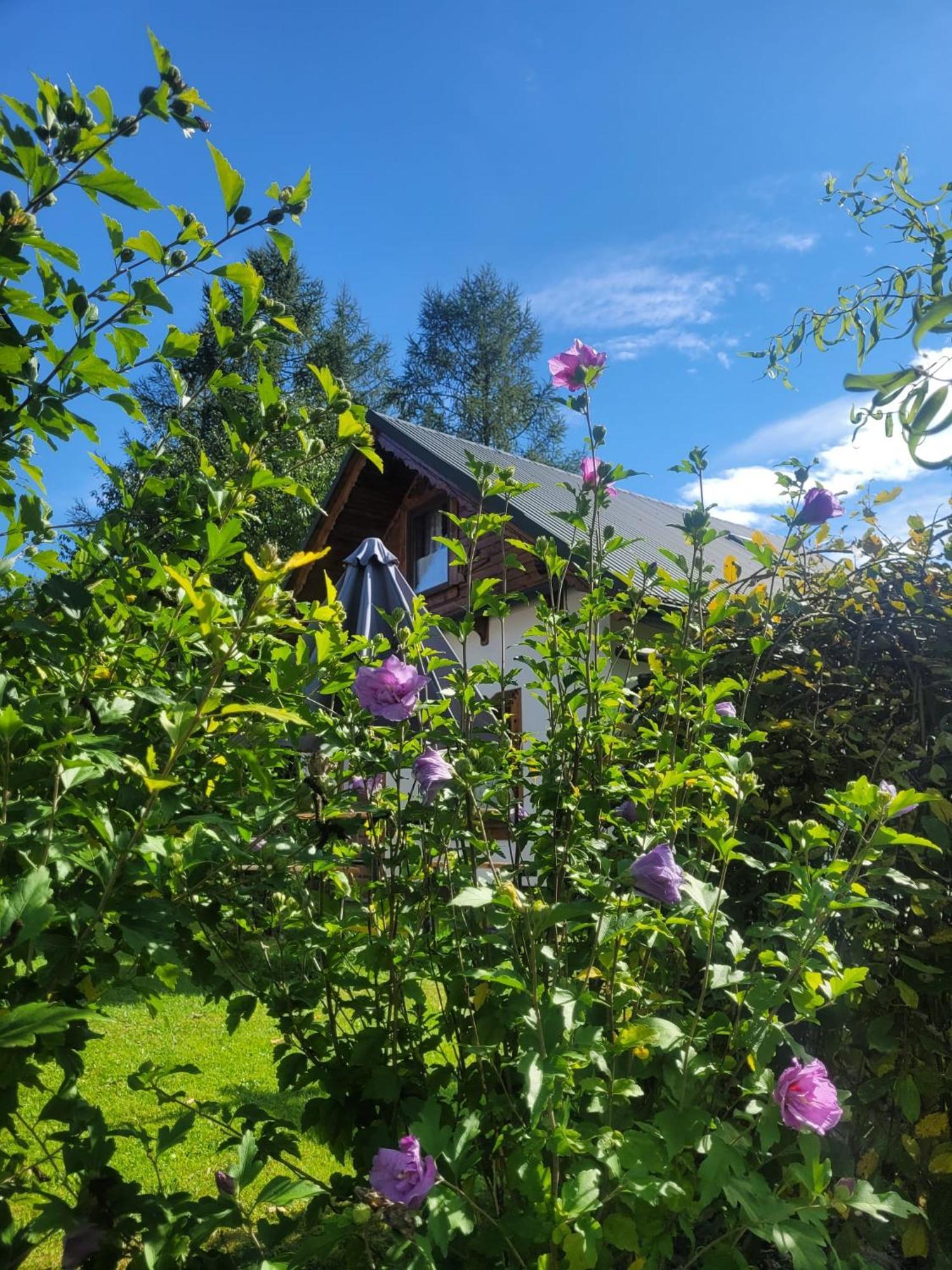 Na Szlaku - Domki Do Wynajecia Rabka Exteriör bild